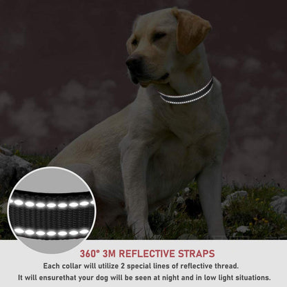 Reflective Dog Collar, Puppy Collar with Buckle Adjustable, Black S