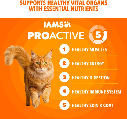 Proactive Health Healthy Adult Dry Cat Food, Chicken, 22 Lb