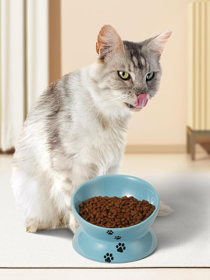 Elevated Cat Food Bowl, Ceramic Raised Bowl, Tilt Angle Protects Cat'S Spine, anti Vomiting Dish, Backflow Prevention, Lake Blue