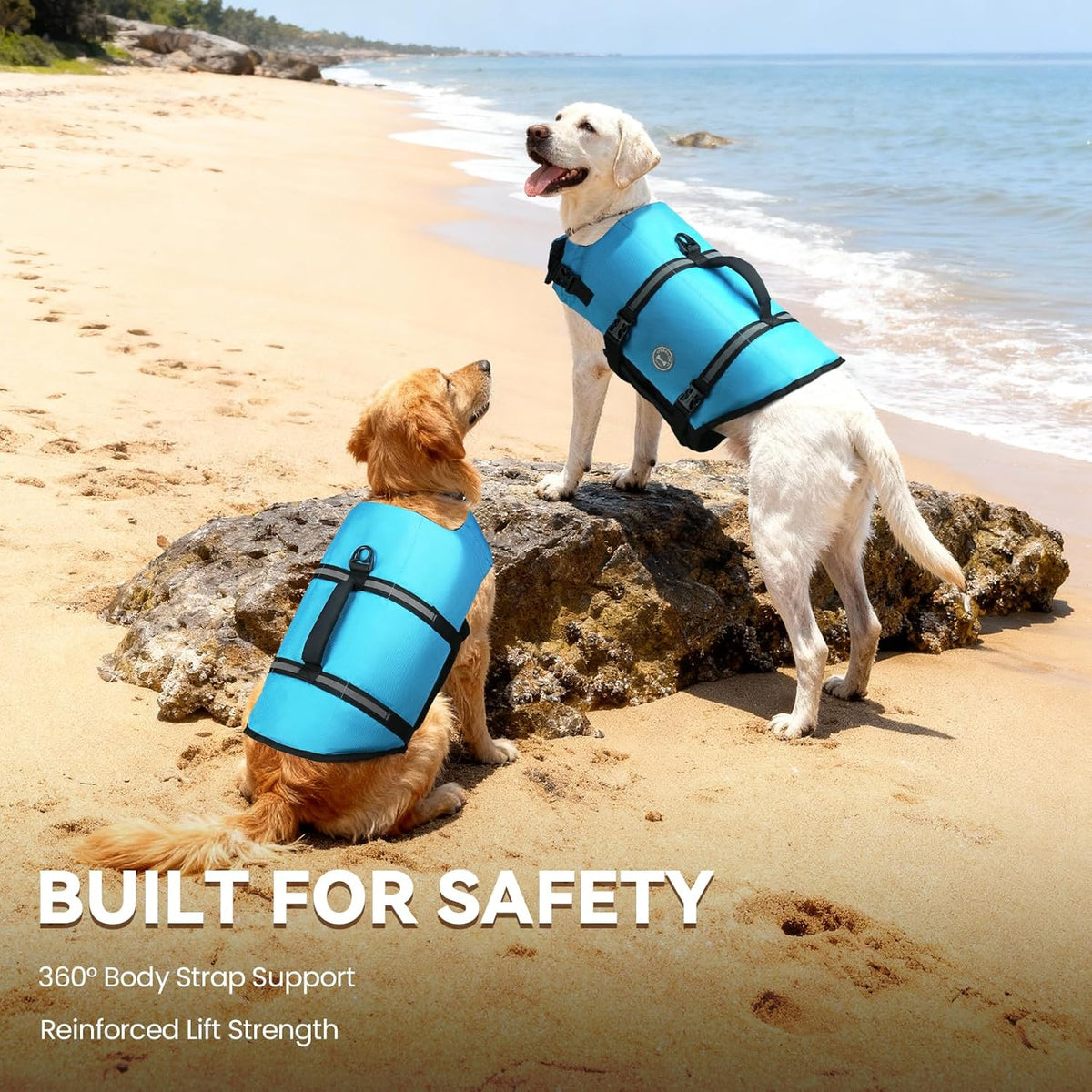 Dog Life Vest Rip Stop Dog Swim Vest, S, Blue