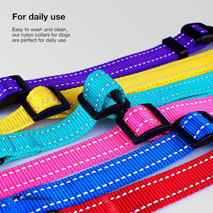 Reflective Dog Collar, Quick-Release Buckle (Orange, 10-13 Inch)