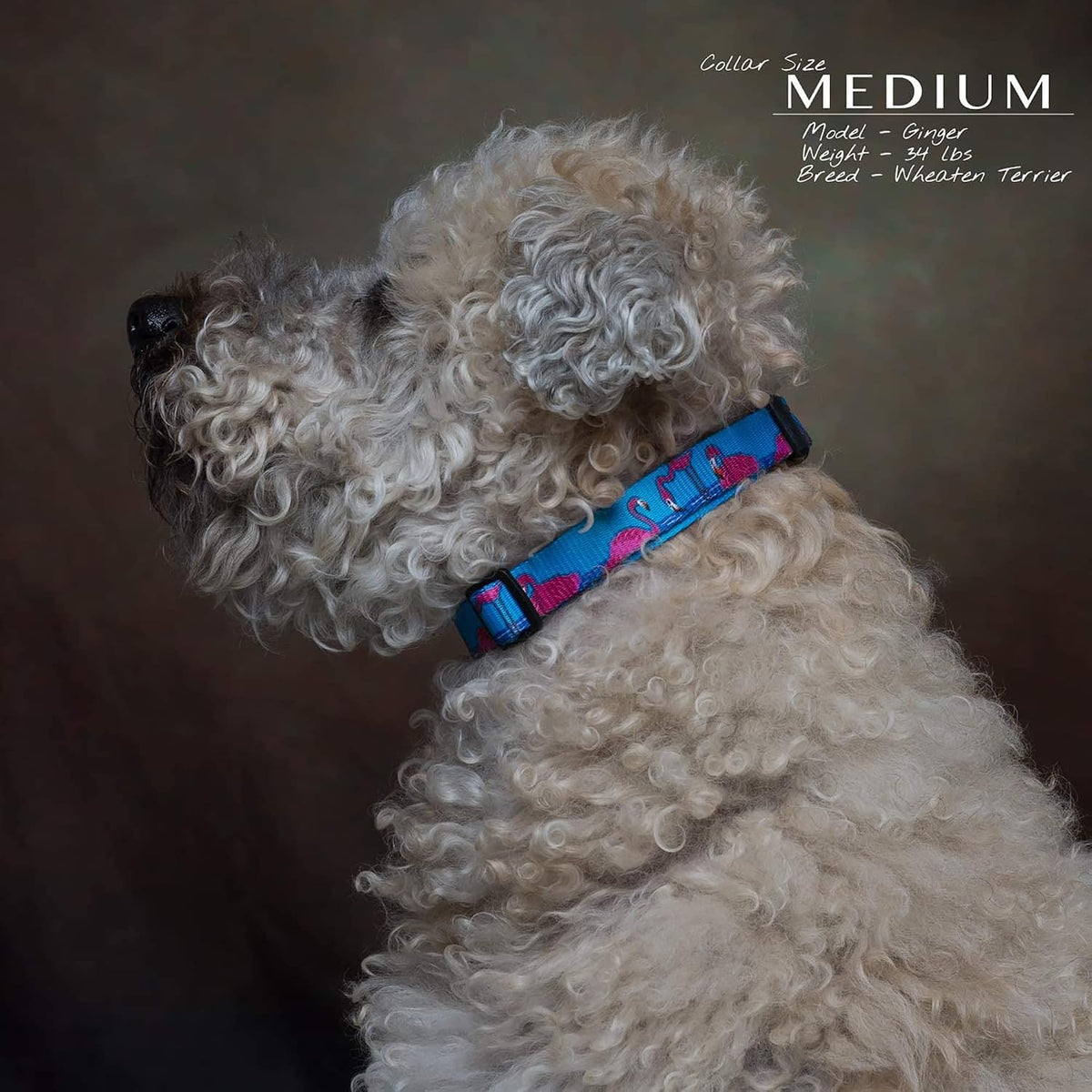 Animal Bug Themed Dog Collar (Flamingo, Medium)