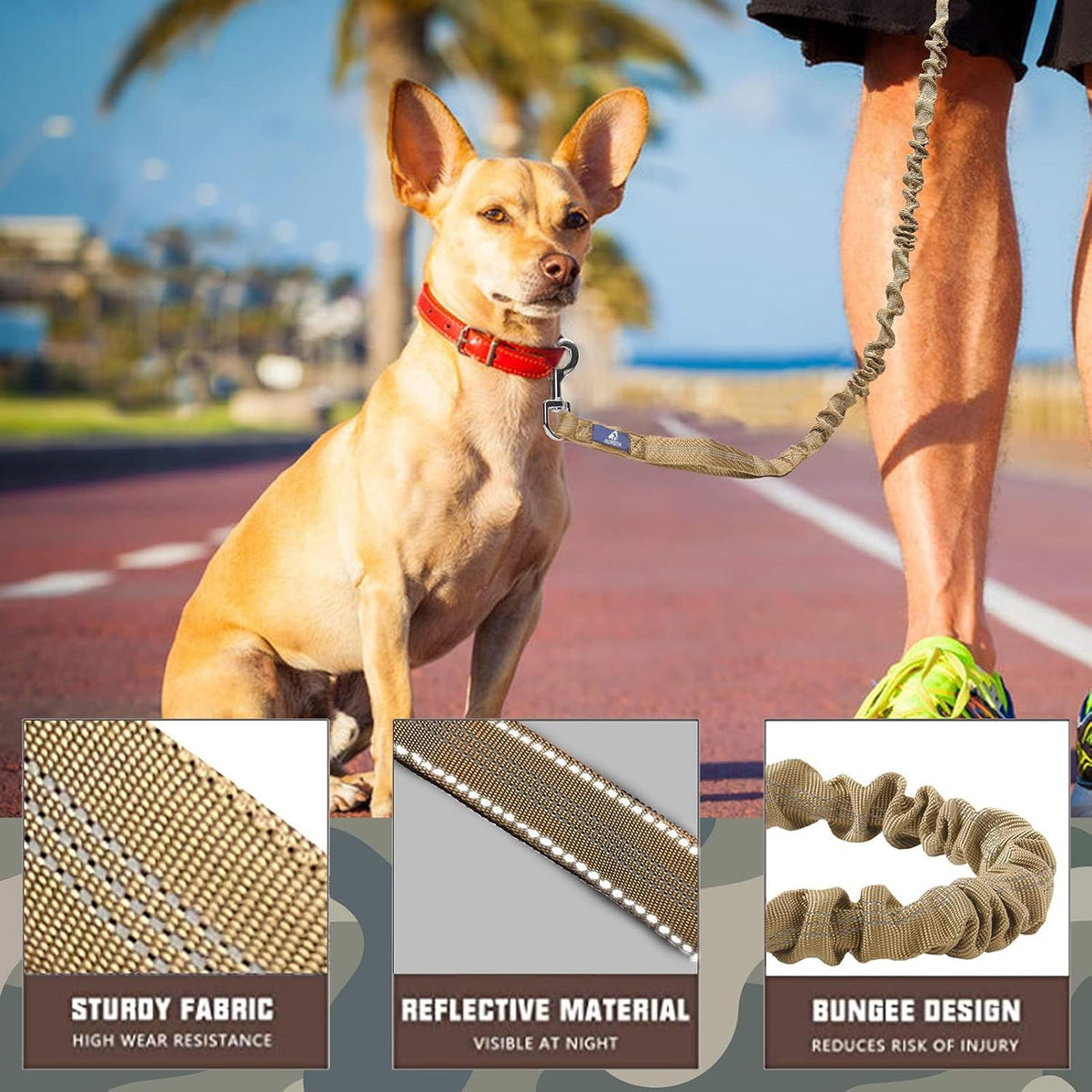 Bungee Dog Leash for Large Dogs, No Pull for Shock Absorption