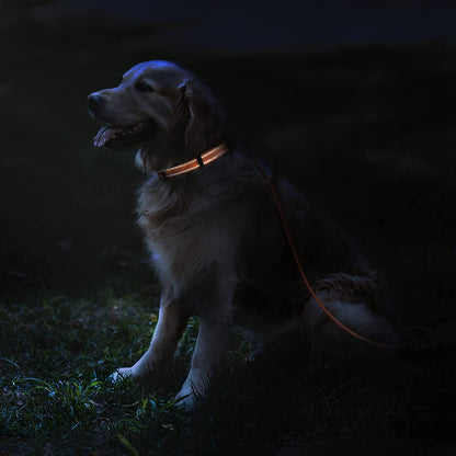 Reflective Dog Collar, Quick-Release Buckle (Orange, 10-13 Inch)