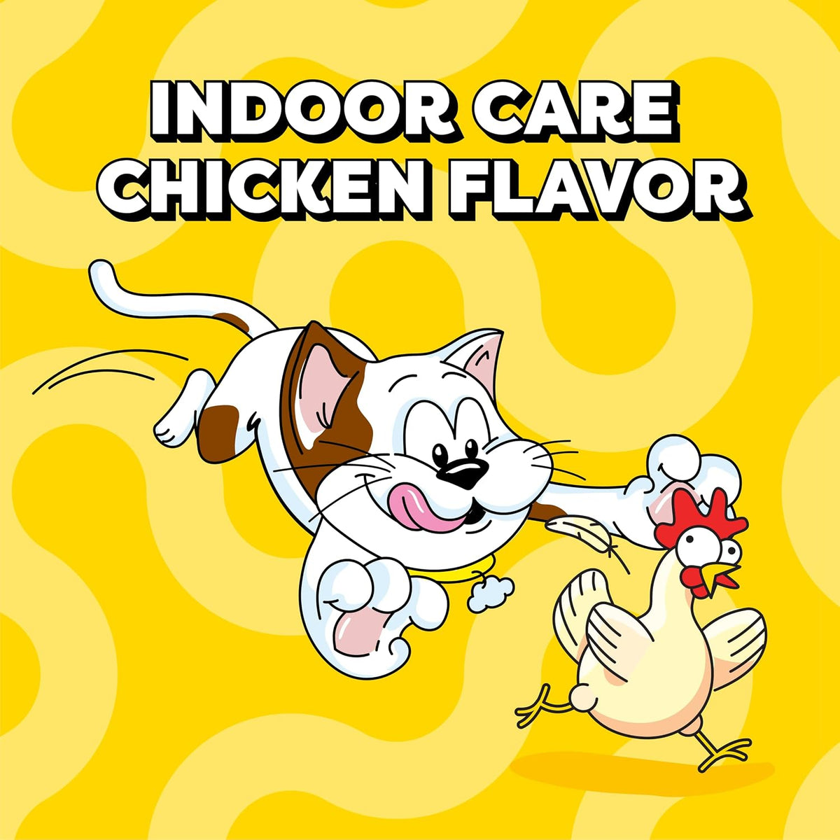Indoor Care Crunchy Cat Treats, Chicken, 4.9 Oz, 10 Pack