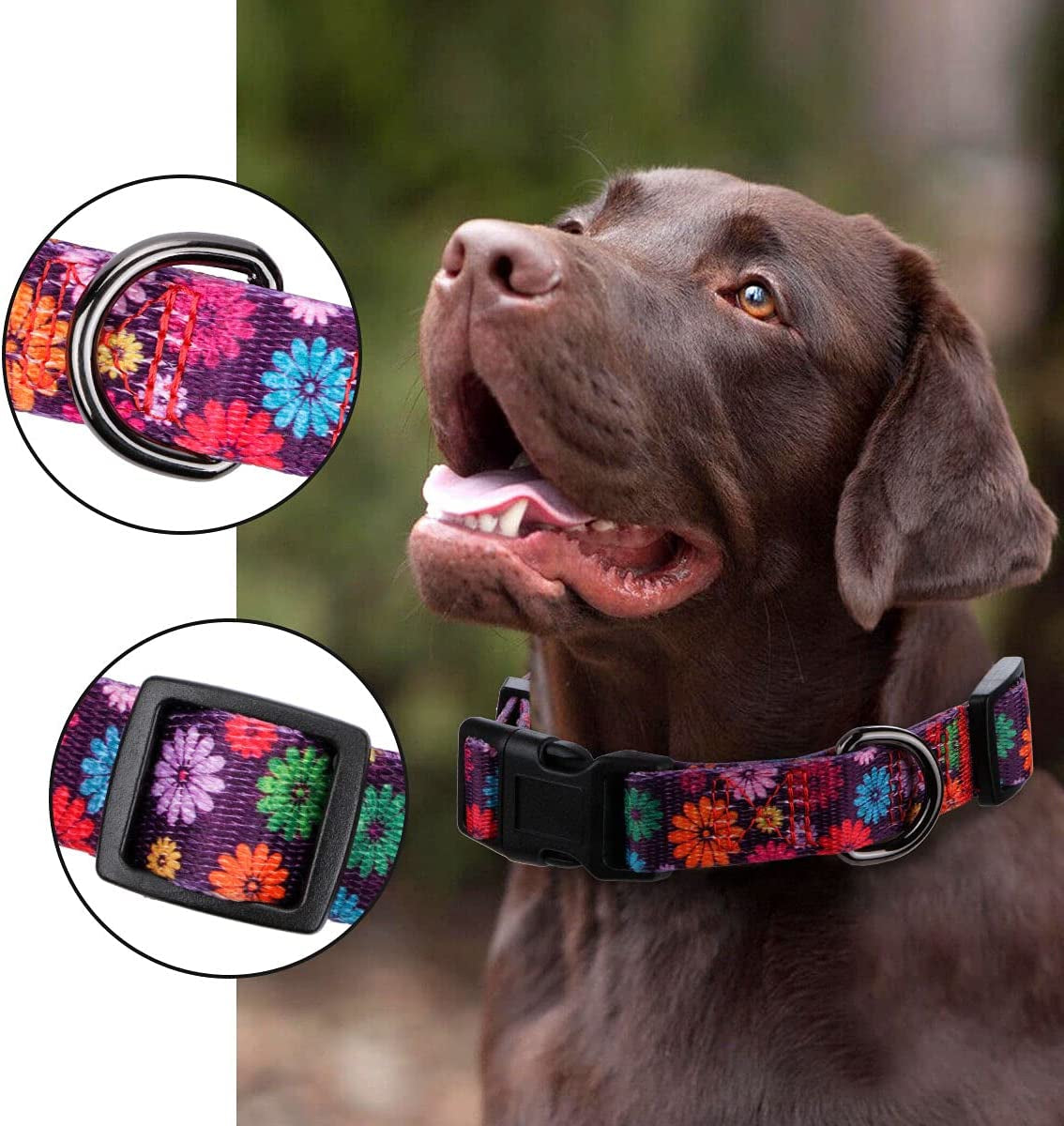 Girl Dog Collars Fall Daisy Pattern, Colorful Flowers Print, Female Collar, Dark Purple, Large