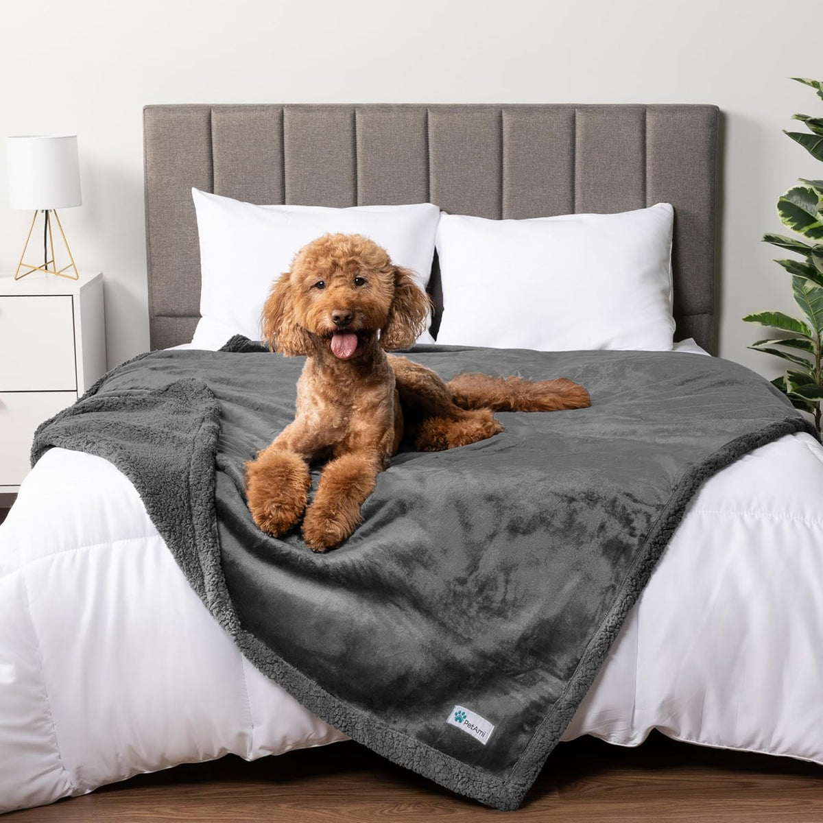Waterproof Dog Blanket for Large Dog Pet, 90X90 Queen, Dark Grey