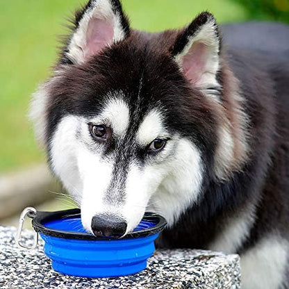 Large Collapsible Dog Bowls 2 Pack, 34Oz Foldable Dog Travel Bowl
