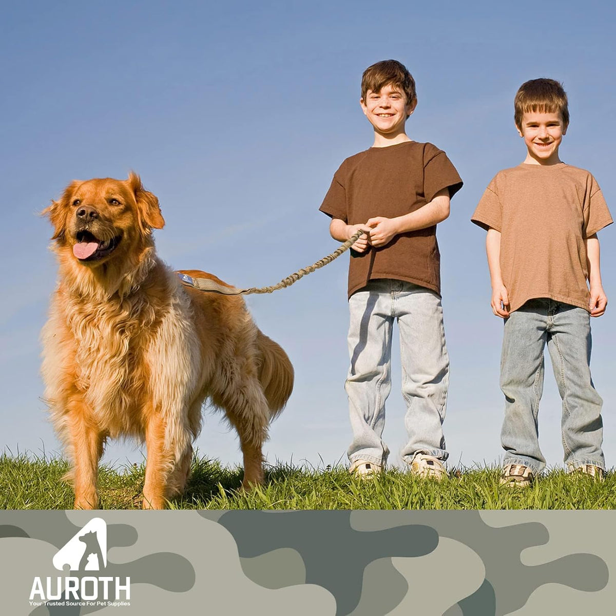 Bungee Dog Leash for Large Dogs, No Pull for Shock Absorption