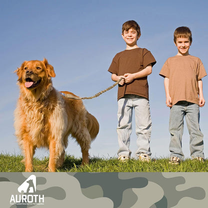 Bungee Dog Leash for Large Dogs, No Pull for Shock Absorption