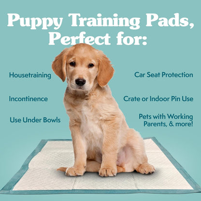 XL Pee Pads for Dogs, Leak Proof Dog Pads, 28X30, 100 Count