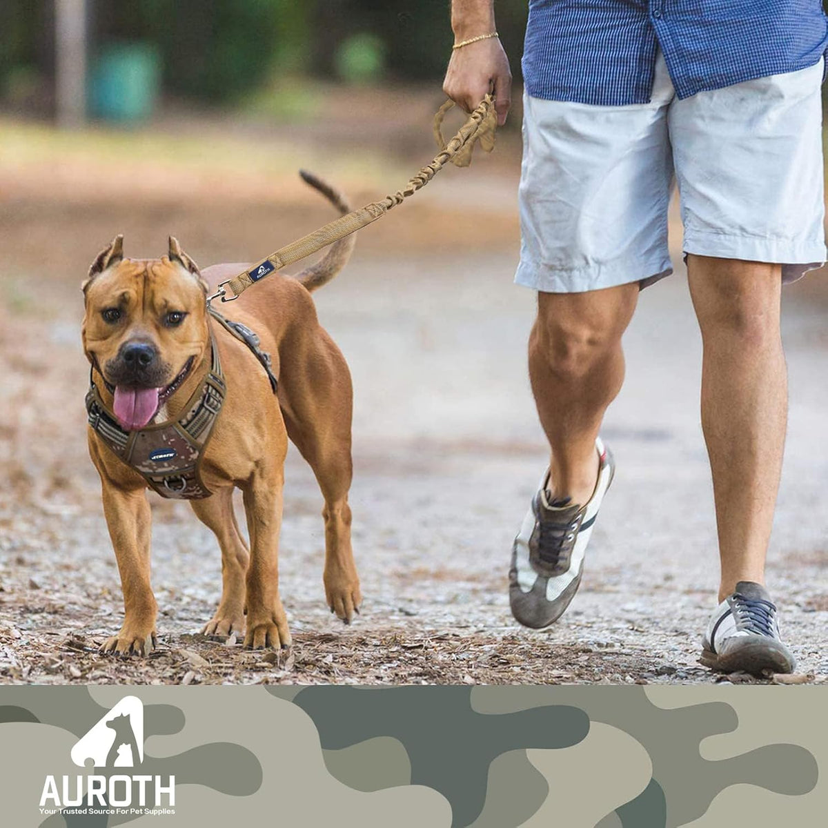 Bungee Dog Leash for Large Dogs, No Pull for Shock Absorption