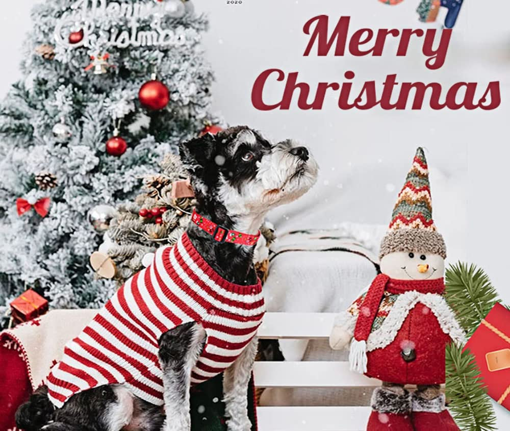 Christmas Dog Collar, for Small Dogs, Christmas,S