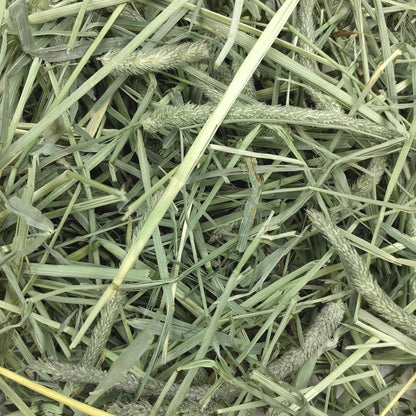 Western Timothy Hay, Rabbit & Guinea Pig Hay, High Fiber, USA, 90 Oz