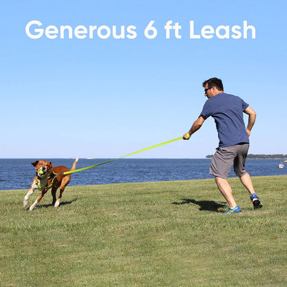 Black Dog Leash 6 Ft XS/S Reflective Durable Lightweight Dog Lead for Small Dogs and Puppies