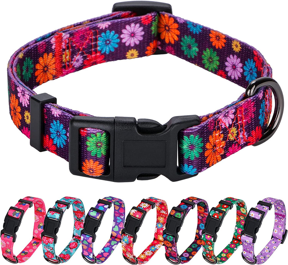 Girl Dog Collars Fall Daisy Pattern, Colorful Flowers Print, Female Collar, Dark Purple, Large