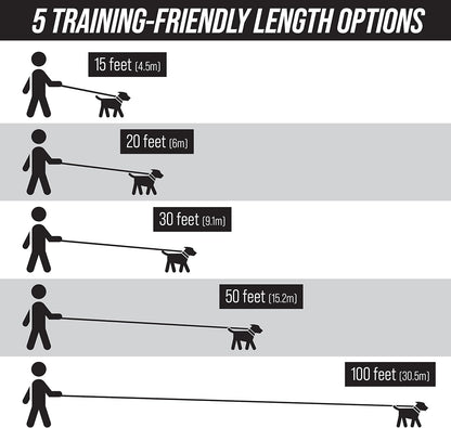 Free Range - Long Dog Leash for Large Dogs + Drawstring Backpack - 1 Inch Nylon Training Lead with Padded Handle (Black) (30 Ft)