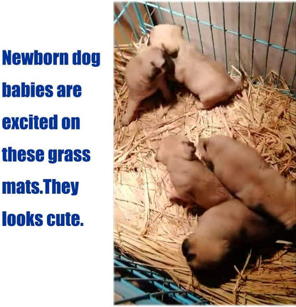Grass Mat for Rabbit Woven Bed Mat Bunny Chew Toys (12PCS)