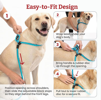 No Pull Dog Harness and Leash Set, anti Pull Dog Harness, One-Piece Cushioned Rope Safely Prevents Escaping and Pulling (Small/Medium, Red/Reflective)