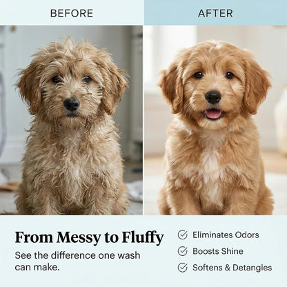 1 Gallon Tearless Puppy Shampoo and Conditioner - Dog Shampoo Itchy Skin Relief - Coconut Oil Oatmeal Shampoo for Dogs - Hypoallergenic Dog Shampoo Sensitive Skin, Made in the USA.