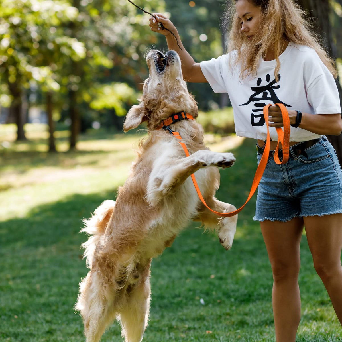 Reflective Dog Collar, Quick-Release Buckle (Orange, 10-13 Inch)