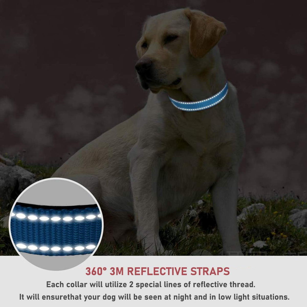 Reflective Dog Collar, Puppy Collar with Buckle Adjustable, Blue XL