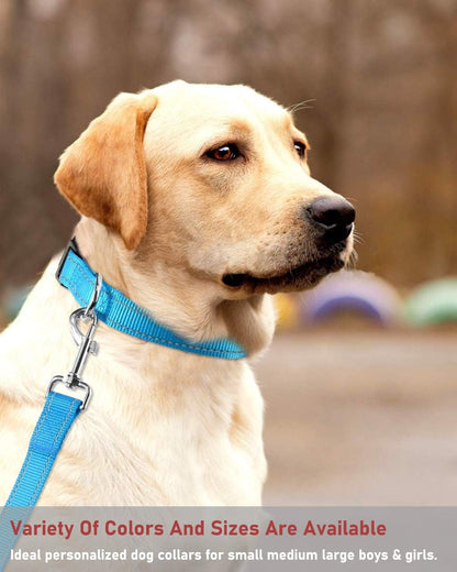 Reflective Dog Collar, Puppy Collar with Buckle Adjustable, Blue XL