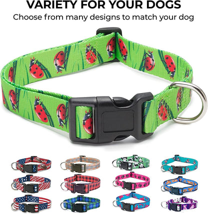 Animal Bug Themed Dog Collar (Unicorn, Large)