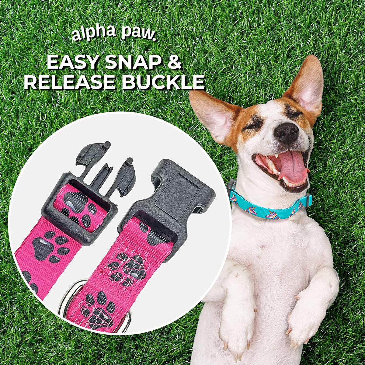 Animal Bug Themed Dog Collar (Flamingo, Medium)