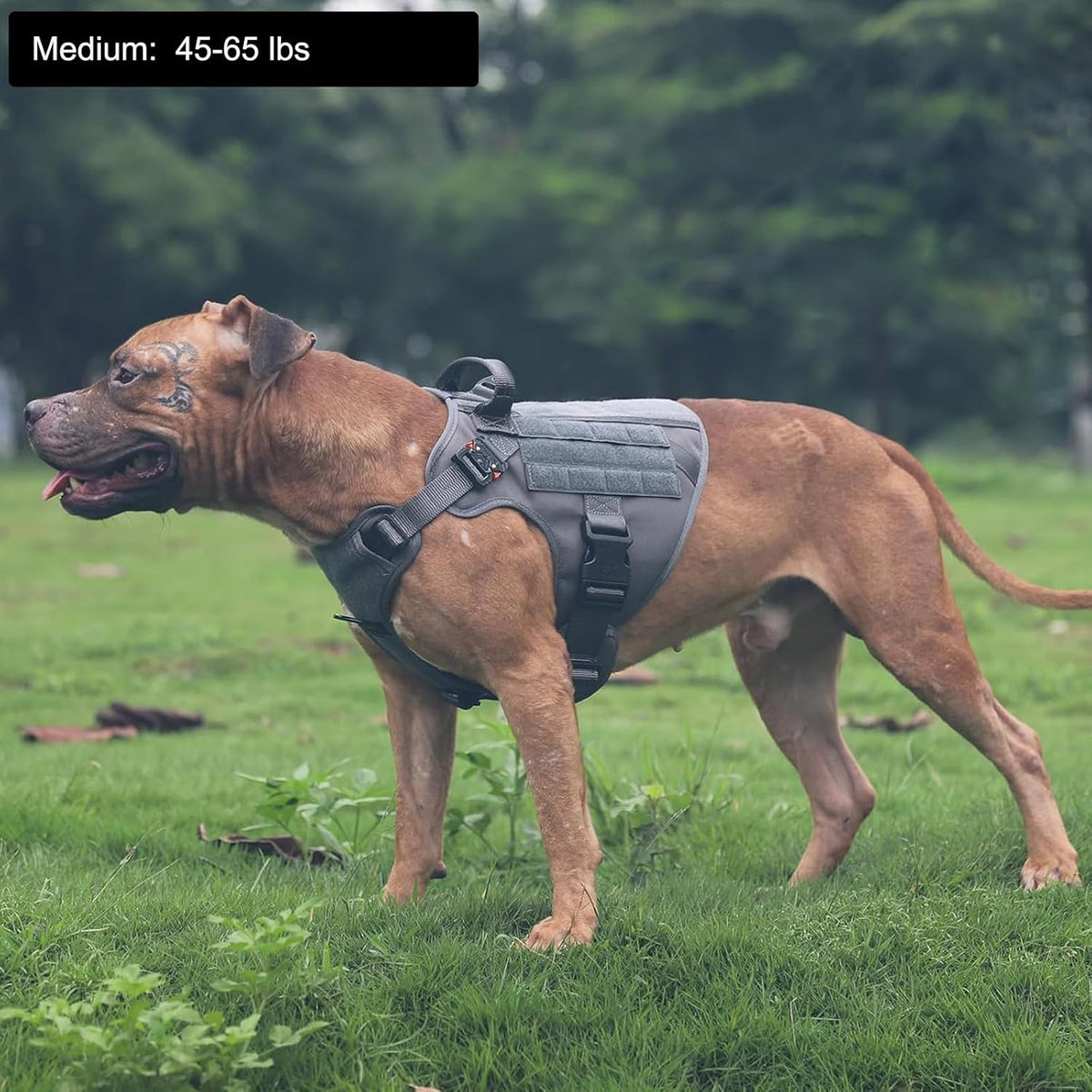 Tactical Dog Harness for Medium Dogs,Reflective No Pull Dog Vest