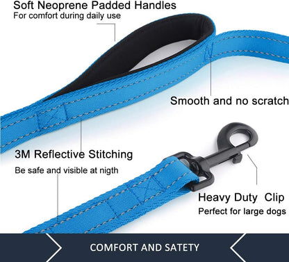 Double Handle Dog Leash, 6 FT Long, for Medium Large Dogs