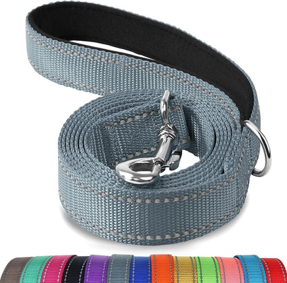 Reflective Dog Leash for Small Dogs, 5 FT X 3/4", Gray