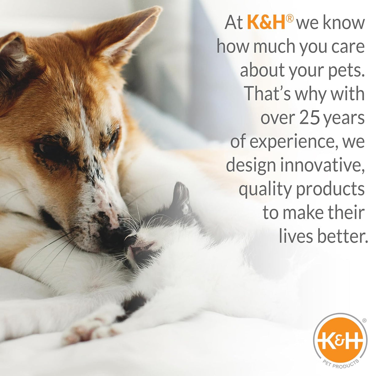K&H Outdoor Elevated Dog Bed for Large & X-Large Pets, Chocolate, 50X32In