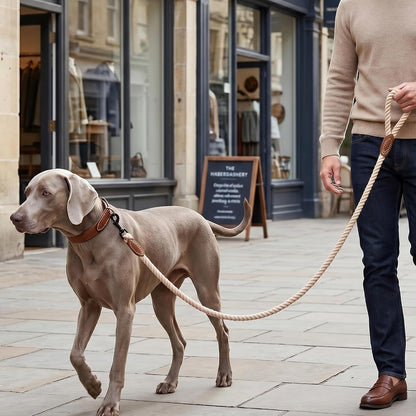 Dog Leash Braided Cotton Rope with Leather-Reinforced Ends