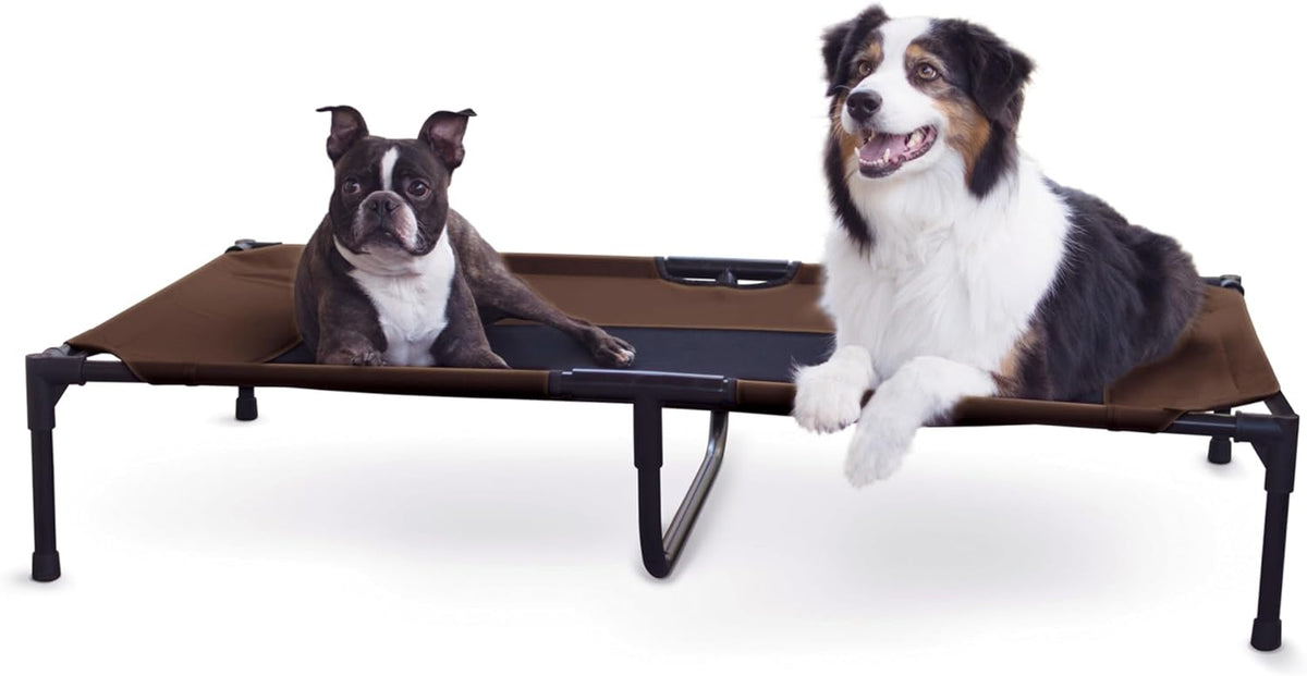 K&H Outdoor Elevated Dog Bed for Large & X-Large Pets, Chocolate, 50X32In