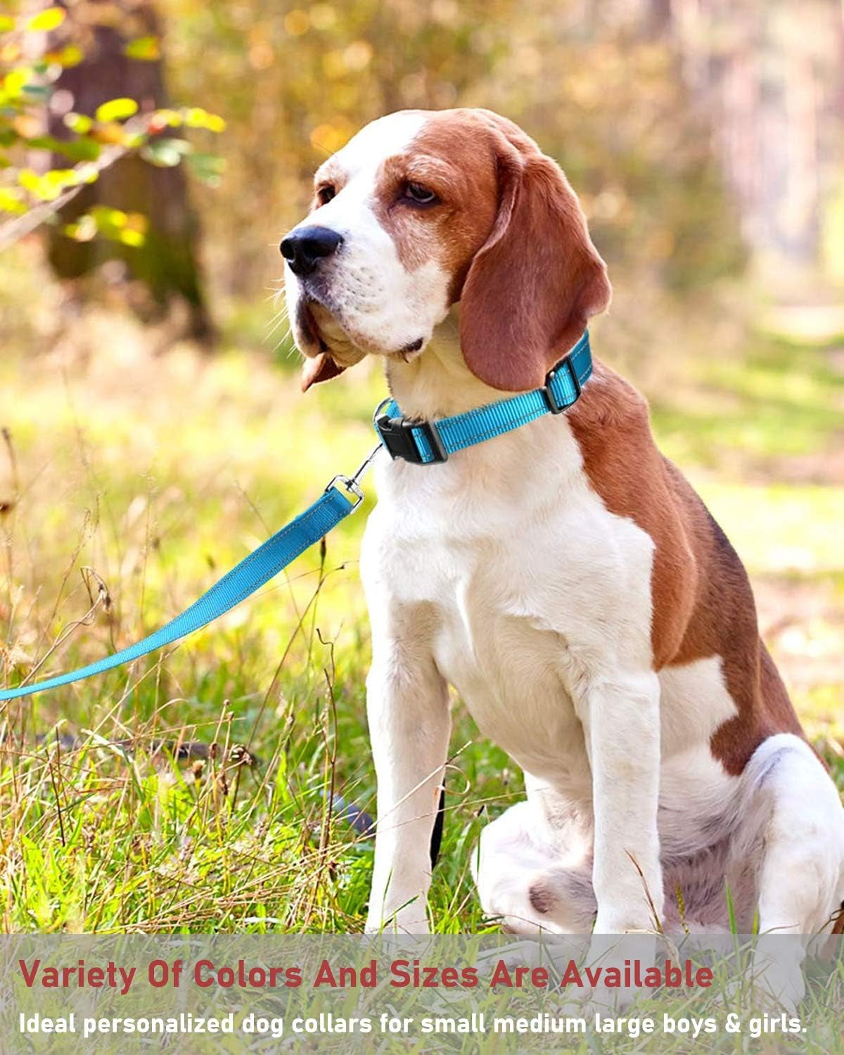 Reflective Dog Collar, Puppy Collar with Buckle Adjustable, Blue XL