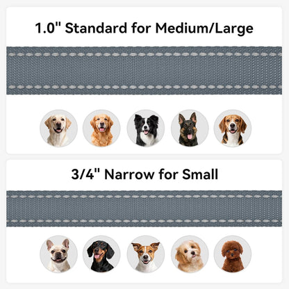 Reflective Dog Leash for Small Dogs, 5 FT X 3/4", Gray