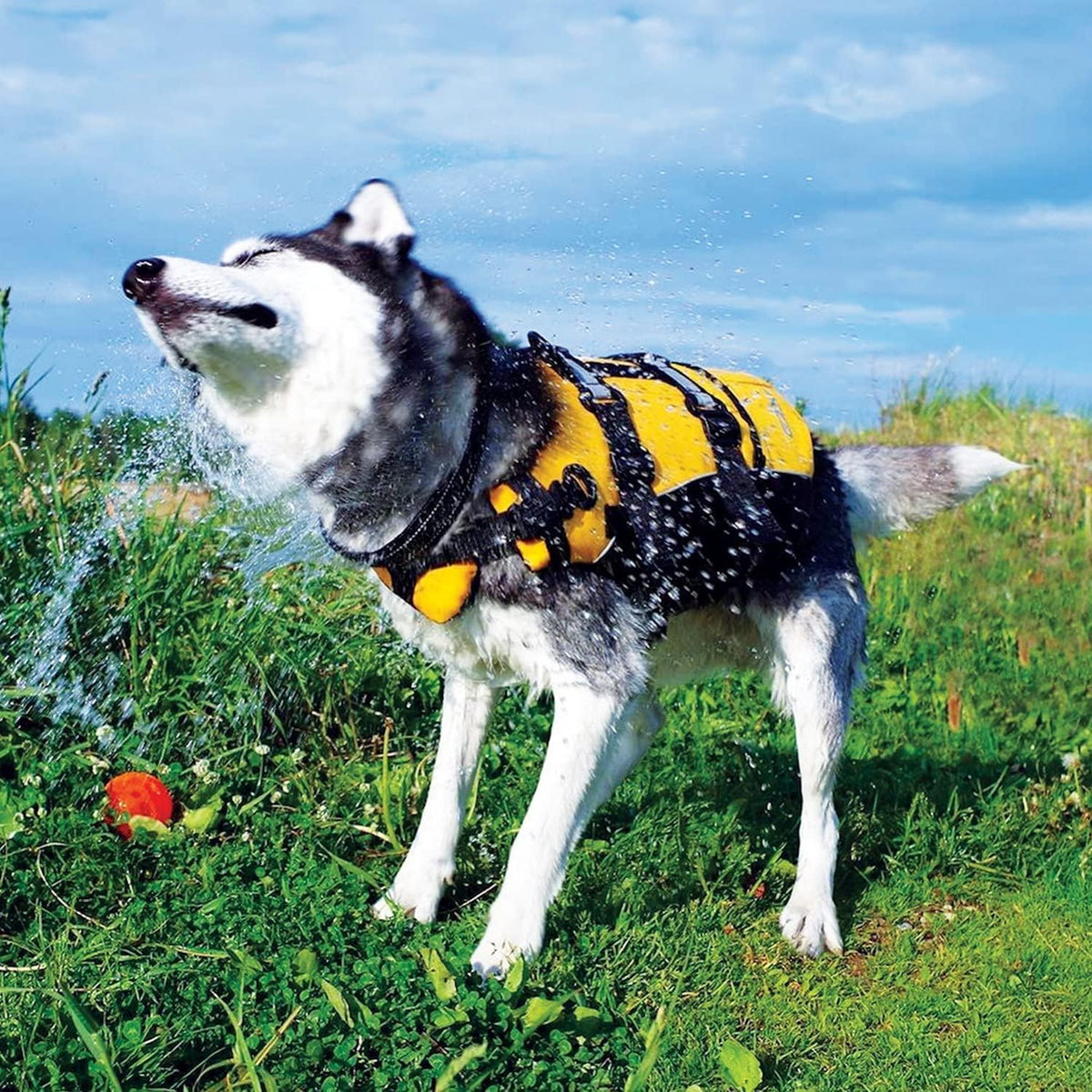 DFD Dog Life Jacket, Dog Life Vest for Swimming - Small, Red