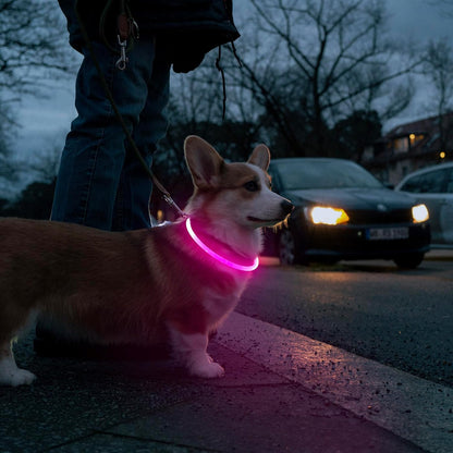 LED Dog Collar, USB Rechargeable Light up Dog Collars Glow in the Dark, Waterproof LED Dog Necklace for Your Dogs Walking at Night (Pink)